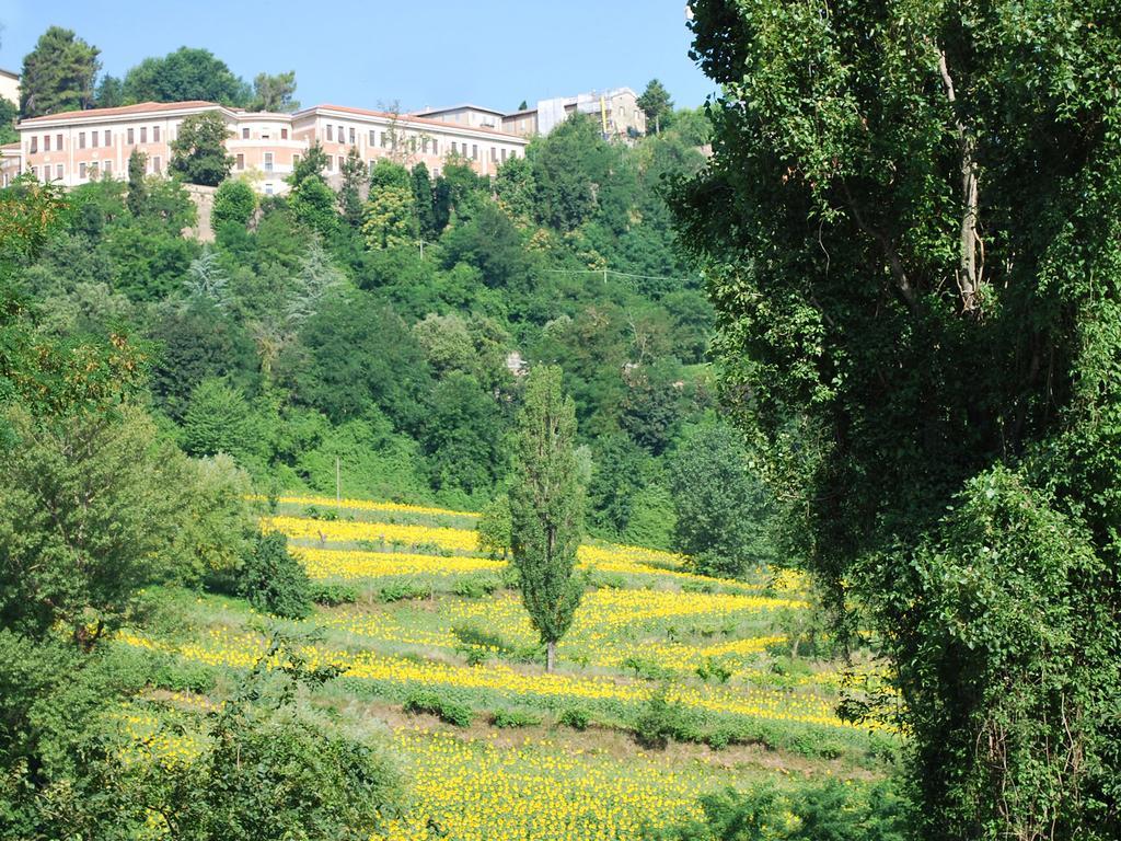 B&B Villa Paradiso Urbino Zewnętrze zdjęcie